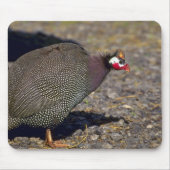 Tapis De Souris Pintade (Devant)