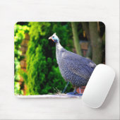 Tapis De Souris Pintade casquée bleue se tenant au soleil (Avec souris)