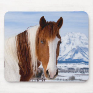 Tapis De Souris Pinto Horse Mount Moran in Winter