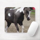 Tapis De Souris Pinto Mini Cheval (Avec souris)