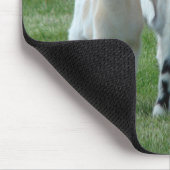 Tapis De Souris Pippi et Grey (Coin)