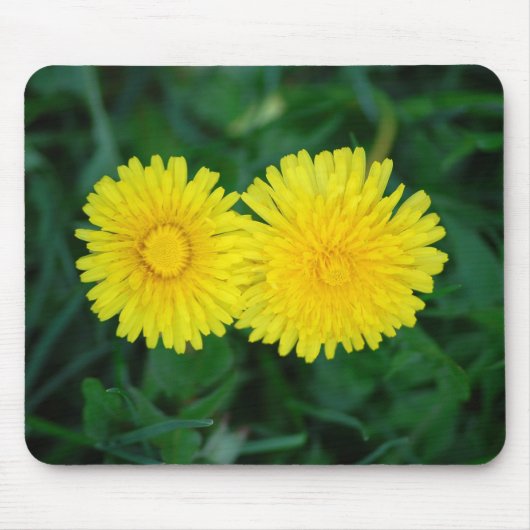 Tapis De Souris Pissenlit (Devant)