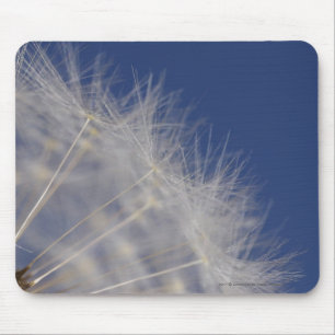 Tapis De Souris Pissenlits
