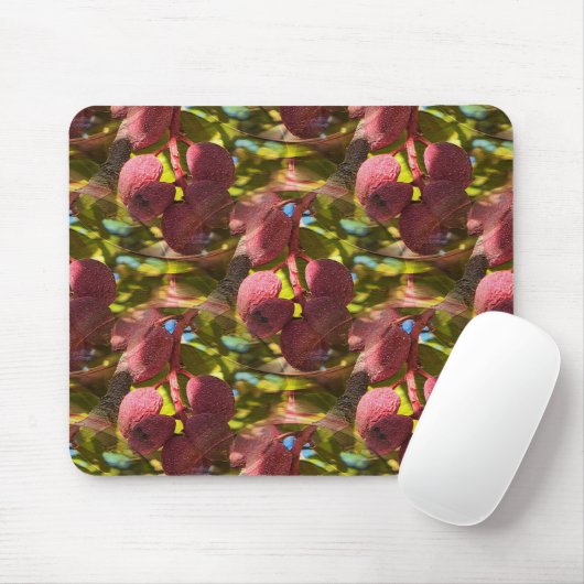 Tapis De Souris Pistaches... (Avec souris)