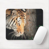 Tapis De Souris Piste de tigres (Avec souris)
