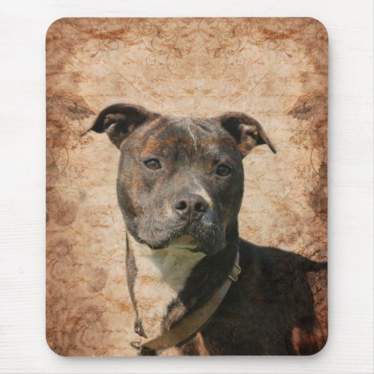 Tapis De Souris Pit Bull Terrier (Devant)