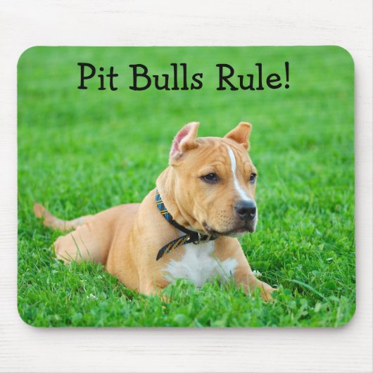 Tapis de souris Pit Bulls Rule (Devant)