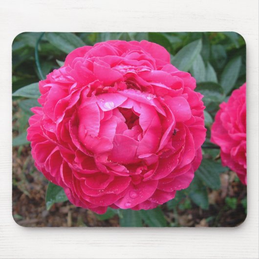 Tapis De Souris Pivoine Mousepad (Devant)