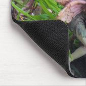 Tapis De Souris Pixie (Coin)