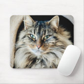 Tapis De Souris Pixie Mousepad (Avec souris)