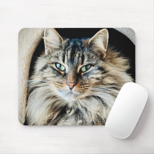 Tapis De Souris Pixie Mousepad (Avec souris)