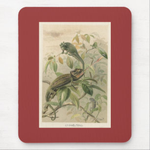 Tapis De Souris PJ Smith - Chameleons