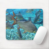 Tapis De Souris Plage de poisson (Avec souris)