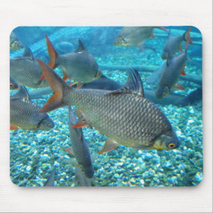 Tapis De Souris Plage de poisson