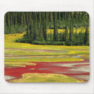 Tapis De Souris Plaine de sel et forêt Parc national Wood Buffal