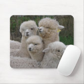 Tapis De Souris Plan rapproché d'alpaga (Avec souris)