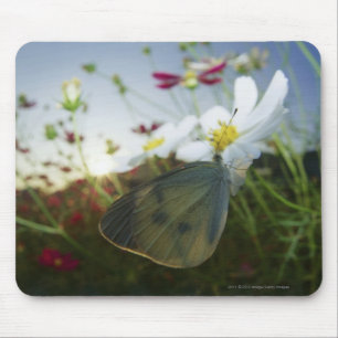 Tapis De Souris Plan rapproché de papillon sur la fleur