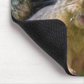 Tapis De Souris Plan rapproché d'écureuil (Coin)