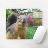Tapis De Souris Plan rapproché d'écureuil (Avec souris)