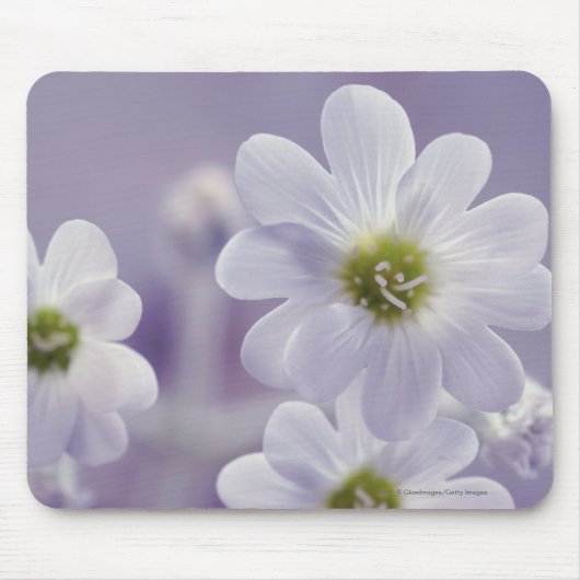 Tapis De Souris Plan rapproché des fleurs 2 (Devant)