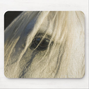Tapis De Souris Plan rapproché d'oeil de cheval