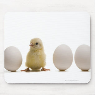 Tapis De Souris Plan rapproché d'un poussin de bébé avec trois