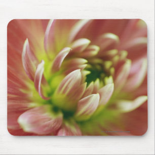 Tapis De Souris Plan rapproché d'une fleur