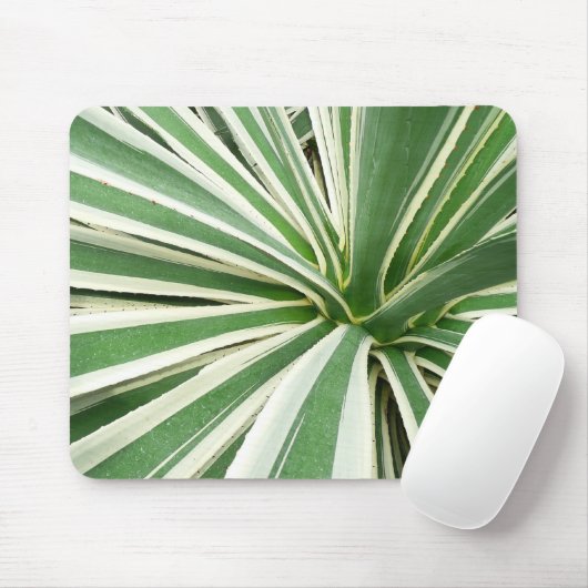 Tapis De Souris Plante Agave Vert et blanc rayé (Avec souris)