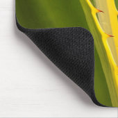Tapis De Souris Plante d'Agave Abstrait (Coin)