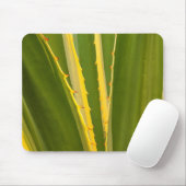 Tapis De Souris Plante d'Agave Abstrait (Avec souris)