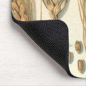 Tapis De Souris Plante de blé résistant à la sécheresse, Agricultu (Coin)