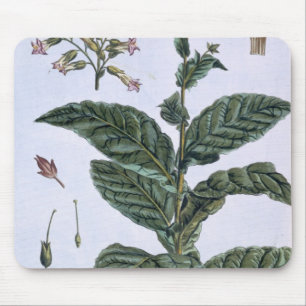 Tapis De Souris Plante de tabac, plat 7, de 'collection Precieuse
