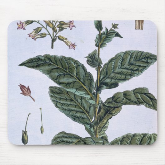 Tapis De Souris Plante de tabac, plat 7, de 'collection Precieuse (Devant)