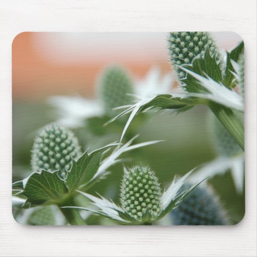 Tapis De Souris Plante frais Mousepad (Devant)