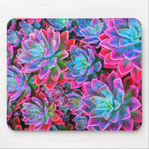 Tapis De Souris Plante Succulent rose néon