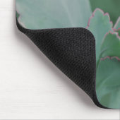 Tapis De Souris Plantes du désert (Coin)