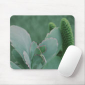 Tapis De Souris Plantes du désert (Avec souris)