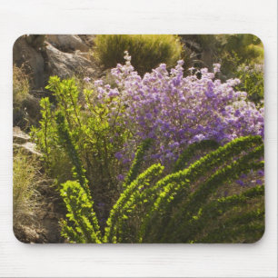 Tapis De Souris plantes du désert de Chihuahuan en fleurs