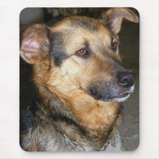 Tapis De Souris Plaque de chien (Devant)