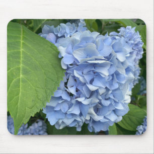 Tapis De Souris Plaque de souris Blue Hydrangea (Hydrangea macroph