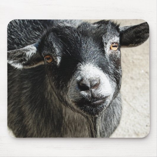 Tapis De Souris Plaque de souris de chèvre (Devant)