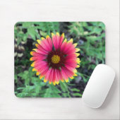 Tapis De Souris Plaque de souris Gerbera Daisy (Avec souris)