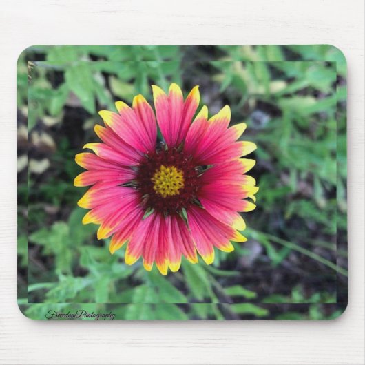 Tapis De Souris Plaque de souris Gerbera Daisy (Devant)