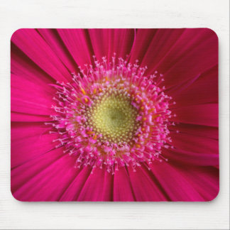 Tapis De Souris Plaque de souris Gerbera Daisy