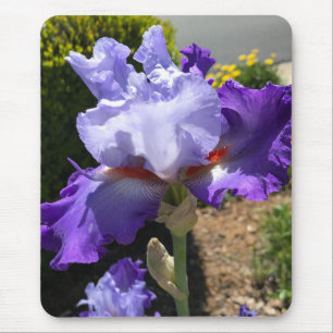 Tapis De Souris Plaque de souris Iris Violet