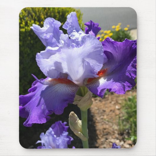 Tapis De Souris Plaque de souris Iris Violet (Devant)