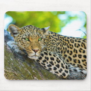 Tapis De Souris Plaque de souris léopard de Tanzanie