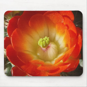 Tapis De Souris Plaque de souris Orange Cactus