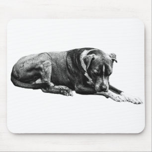 Tapis De Souris Plaque de souris pour chien de repos ombragé