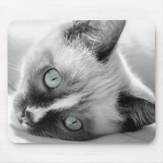 Tapis De Souris Plaque souris Kitten bleu (Devant)